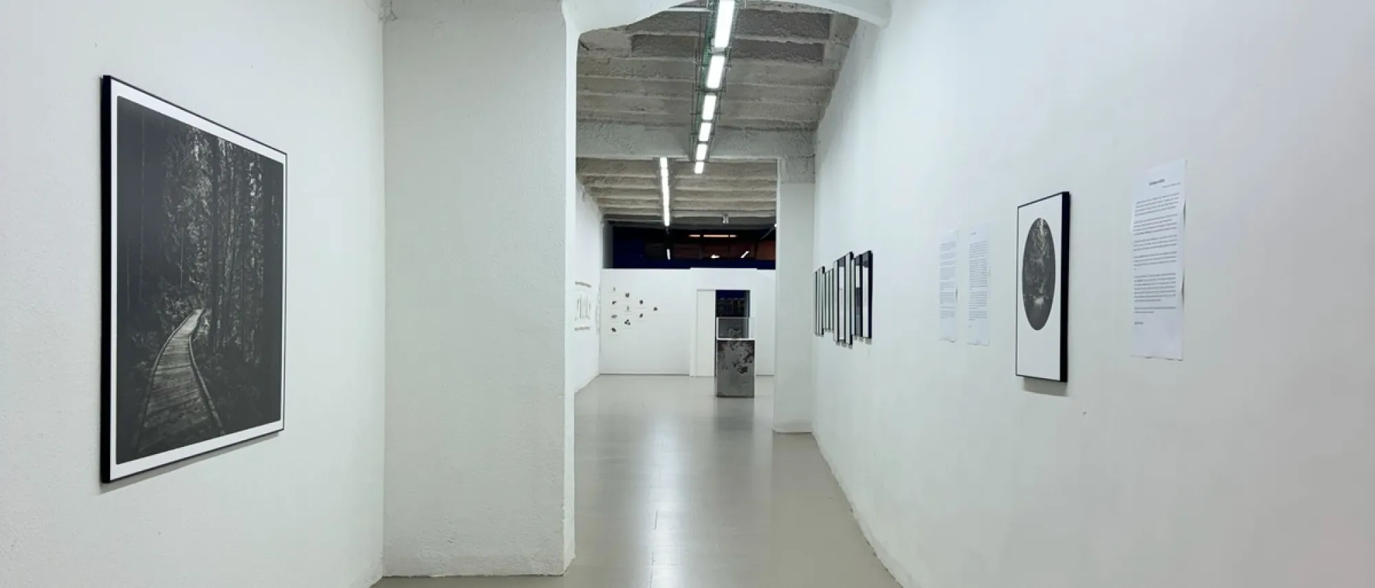 galeria fxphotoschool.com