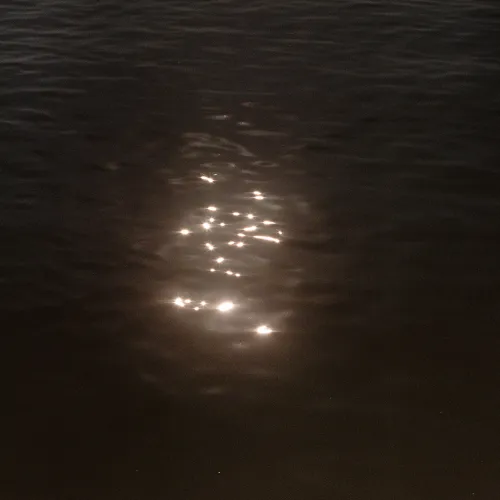 gallery master fx fotografía