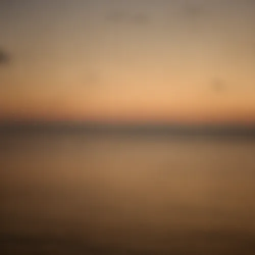 gallery master fx fotografía