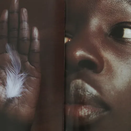 gallery master fx fotografía