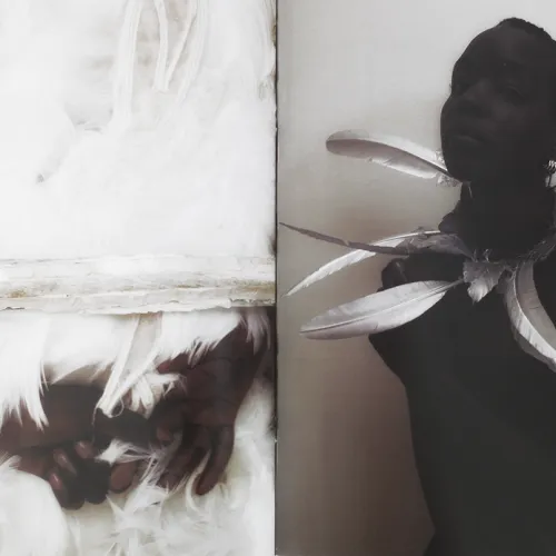 media master fotografia